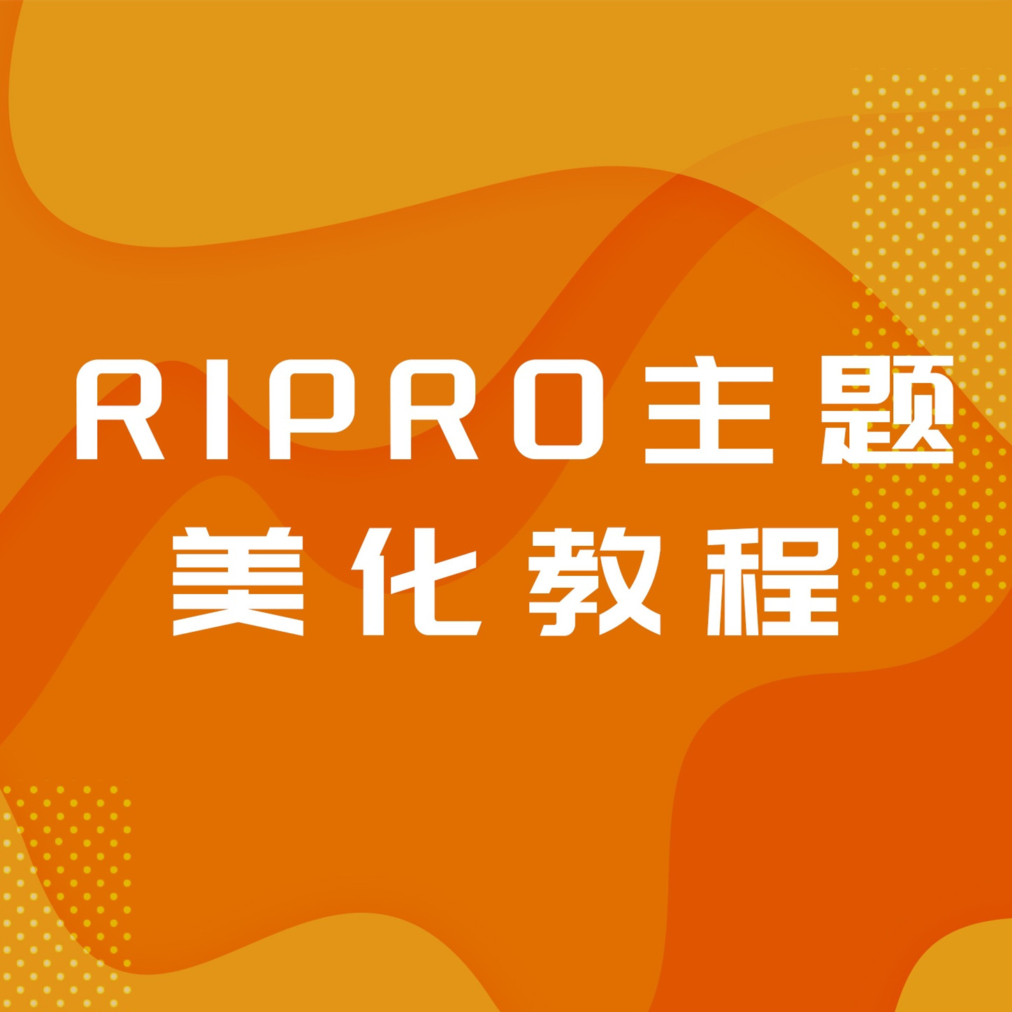 RiPro详细修改路径介绍
